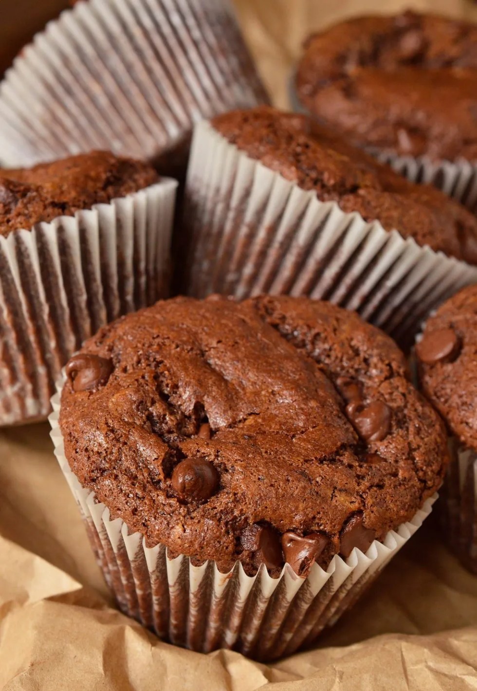 Double Chocolate Chip Muffins